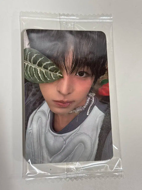 Riku Ketapo