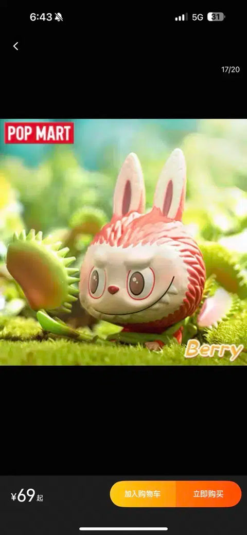 Pop Mart Labubu The Monster Flower Series