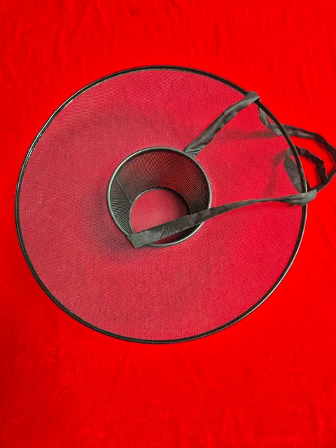 Scholar's hat