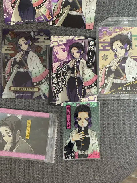 Demon Slayer: Kimetsu no Yaiba Kocho Shinobu Set