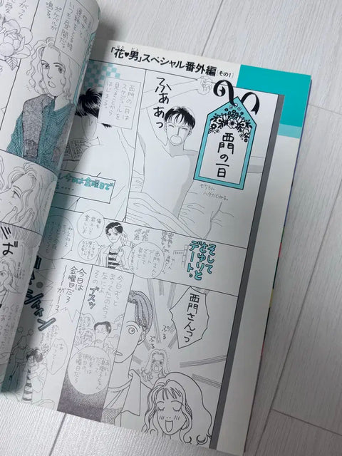 Boys Over Flowers Illustration Collection Limited Rare