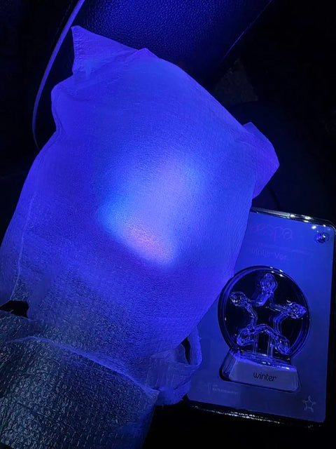 aespa Light Stick & Winter Emblem
