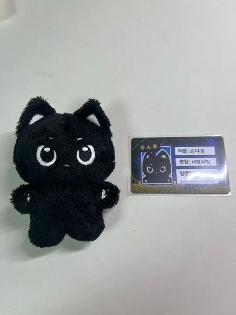 I'm transferring Hong Seunghan doll Seungnyang.