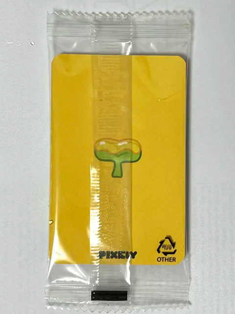 Pixel Honey Dinosaur Photocard PC