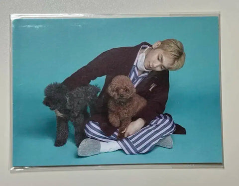 SHINee Key Season's Greetings 2020 Postcard Special Gift