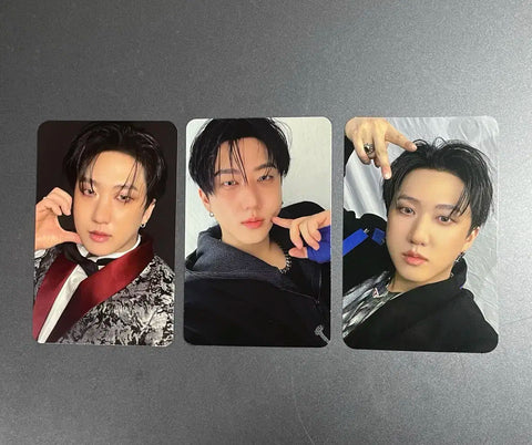 Batch) Stray Kids SKZ Karma Changbin photocard album