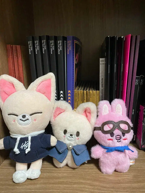 Stray Kids lucky box!