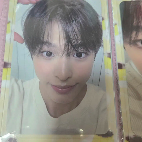 Steady KMS Unreleased Riku photocard