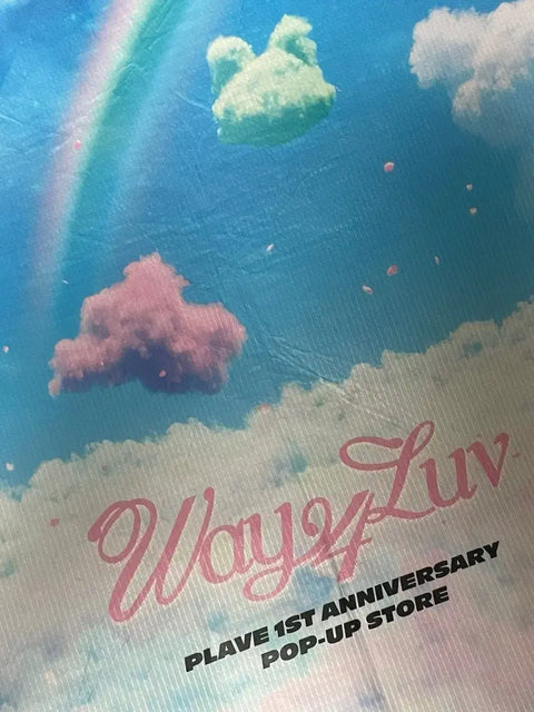 PLAYV Reusable Bag (unused) from Pop-up Store