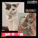 Silver plated butterfly keyring photocard toploader card case N.W.S.H Bonedoc The Boyz