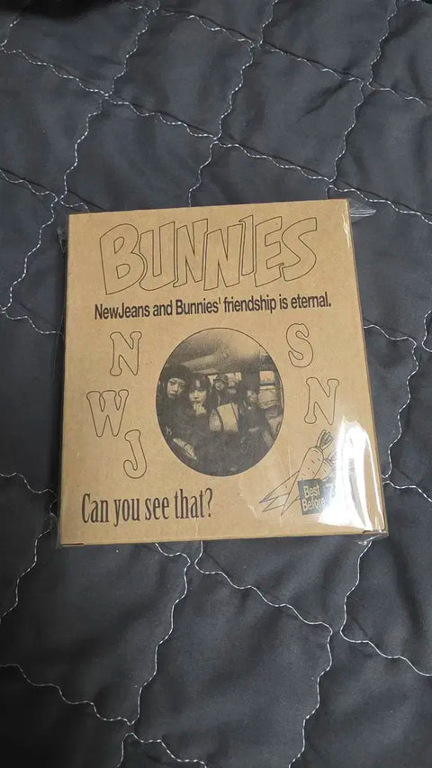 Selling New Jeans Bunnies Camp Binder.