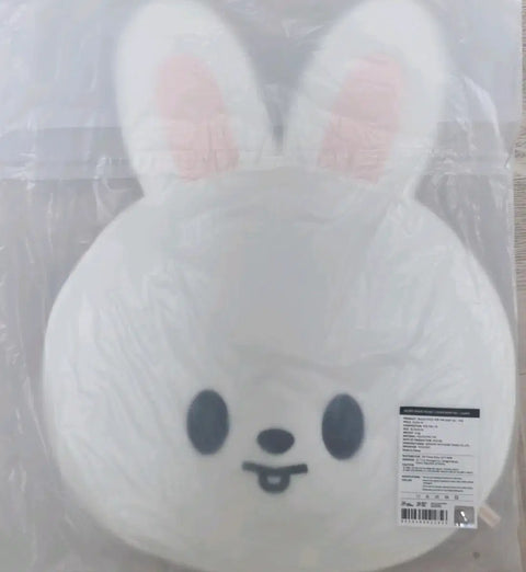 Stray Kids Lee Know Leebit Uchiwa Cover Transfer