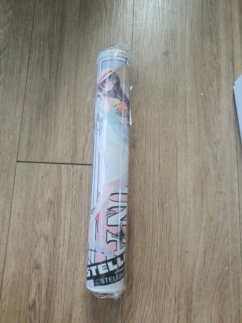Stellive Fanbook Desk Mat Bundle