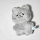 THE BOYZ Jyunyang's Jooyeon Doll