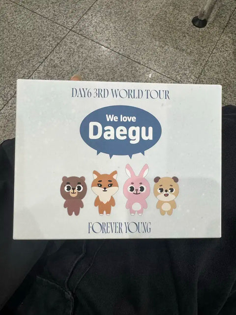 Daegu final concert entrance gift