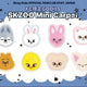Stray Kids Japan FC Limited SKZOO Doormat Mini Carpet
