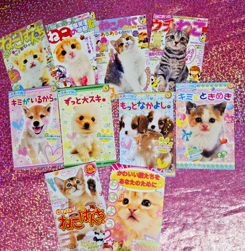 Y2K Ani Dessert Card Pack