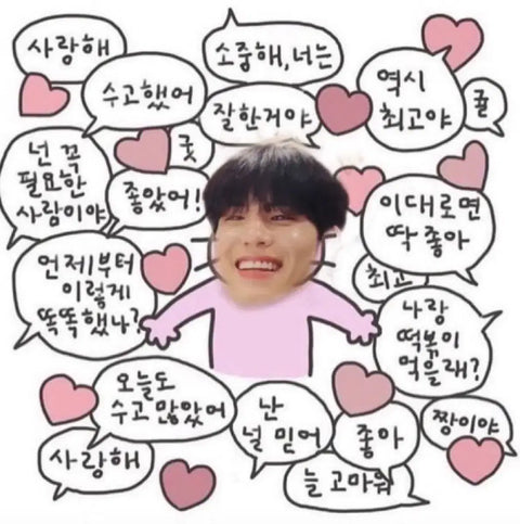 Wonpil's birthday and encore concert celebration, 2x random box