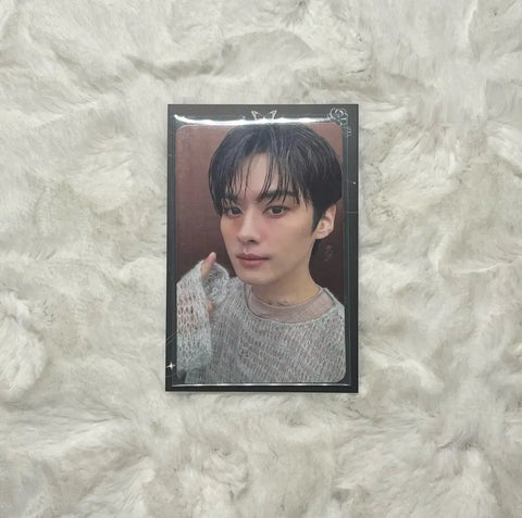 Stray Kids Lee Know Eight ate L-Po Accordion Album Photocards Transfer Sale
