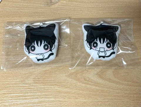 Won Bin cushion keyring unofficial goods RIIZE photocard transfer doll Tonyangdeok squishy sticker pop-up