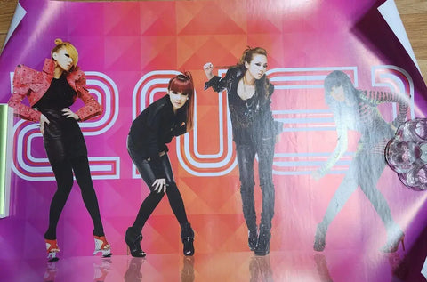 Ultra rare 2NE1 full album poster
