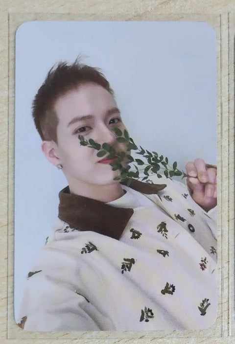 BTOB Peniel BTOAD Plve Alpo Exchange