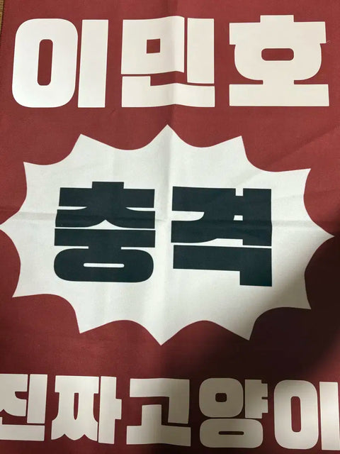 Stray Kids Lee Know Slogan Transfer