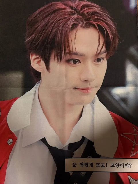 Stray Kids Lee Know Slogan Transfer