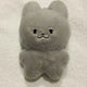 The Boyz Juyeon Junyang Cat Transfer