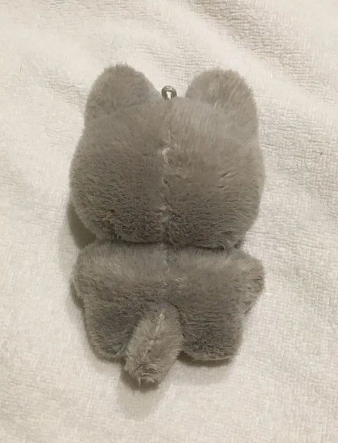 The Boyz Juyeon Junyang Cat Transfer