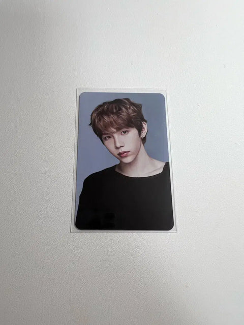 Rise 2025 Season's Greetings Trading Card Shotaro Photocard Transfer