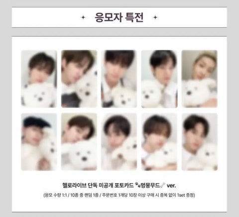 THE BOYZ Hello Live unreleased photocard puppy mood group order transfer
