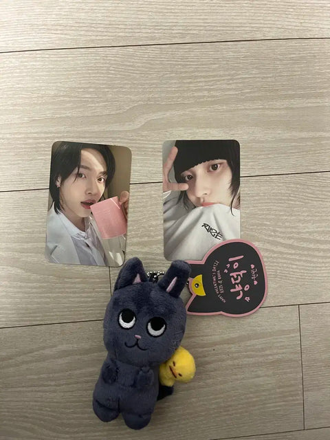 Won Bin photocard Tonyangdeok