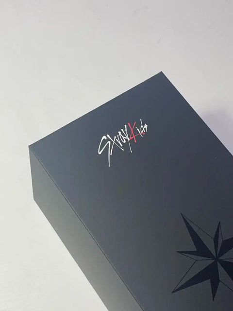 Stray Kids light stick