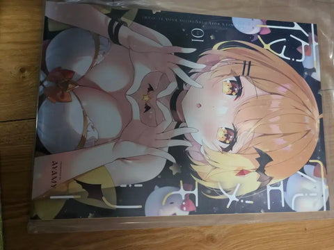Selling Hololive Illustration Book 2