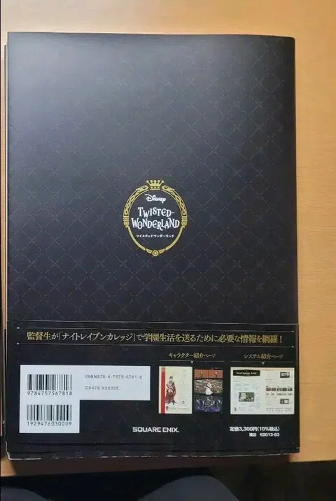 Selling Twisted Wonderland official setting art book.