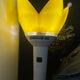 Bang Bong Ver.3