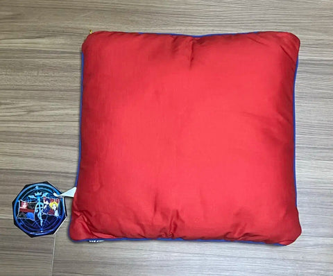Fullmetal Alchemist Roy Mustang & Edward Elric Classic Cushion