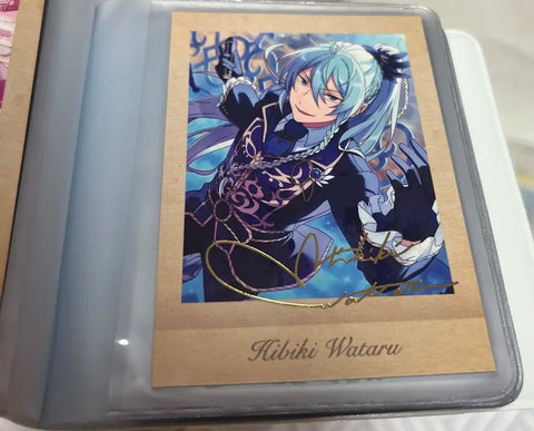 Hibiki Wataru Pasha