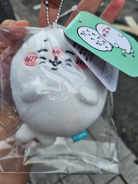 Nagano Market Kuji D Prize Normal