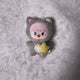 NCT DREAM Danim Yaongjjun Doll Transfer