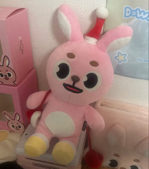 I'm transferring Day6 Christmas Pilki Wonpil doll!