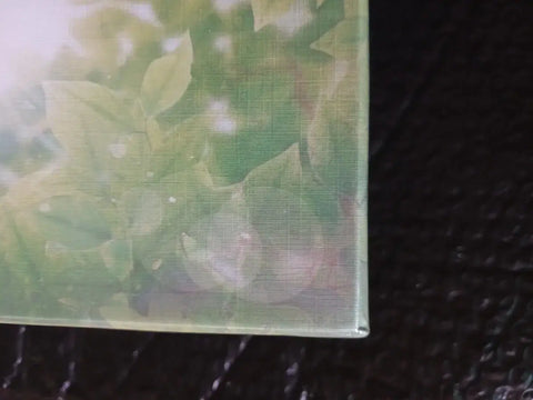 Bộ ảnh Blu-ray cao cấp chưa mở và tặng kèm của Our Beloved Summer