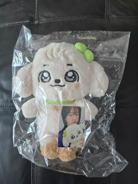 Selling Minive School Pop-up An Yu-jin Kang An-ji 30cm Doll.