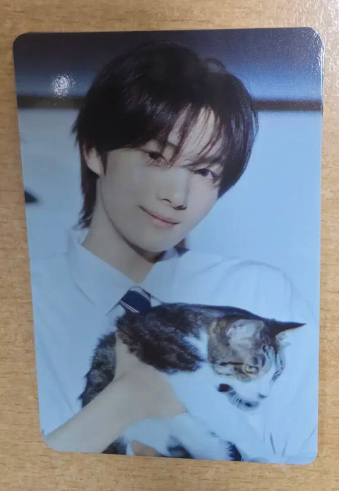 TWS Youngjae Shibuya Pop-up Photocard