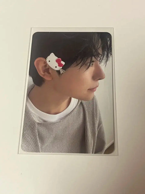 Steady Hello Kitty Uushi Photocard