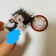 Jujutsu Kaisen Capriccio Choso Fushiguro Megumi Giá đỡ acrylic