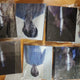 BTS Bangtan Boys Binder 7 Set