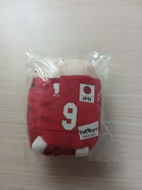 Kageyama national team Tsumu