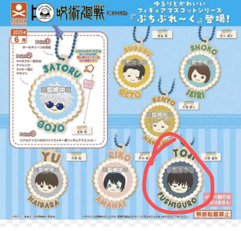 Jujutsu Kaisen Gacha Puchi Flare Touji